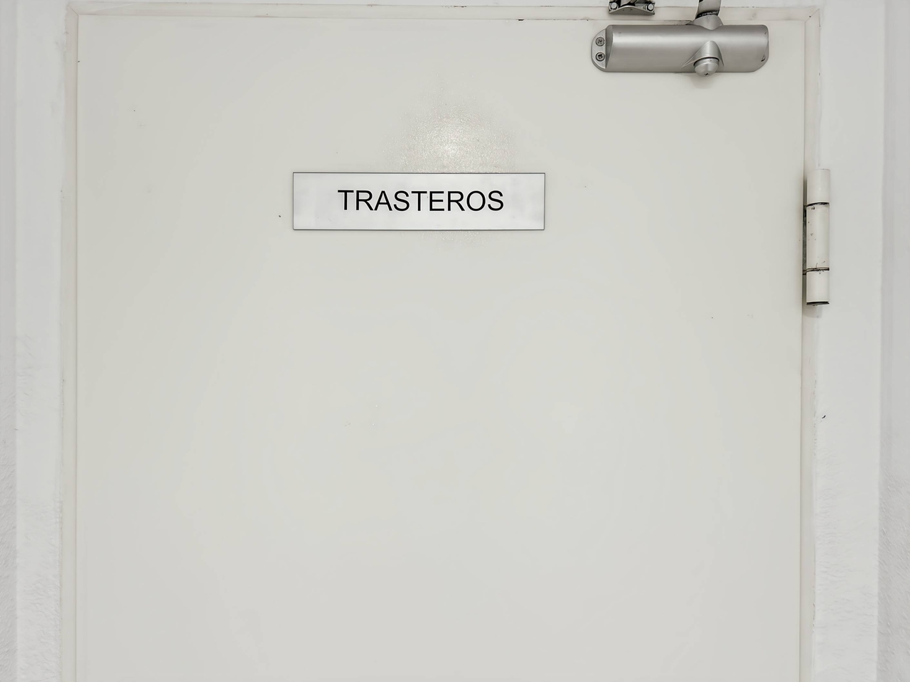 Photo 57_Easy-Resize.com