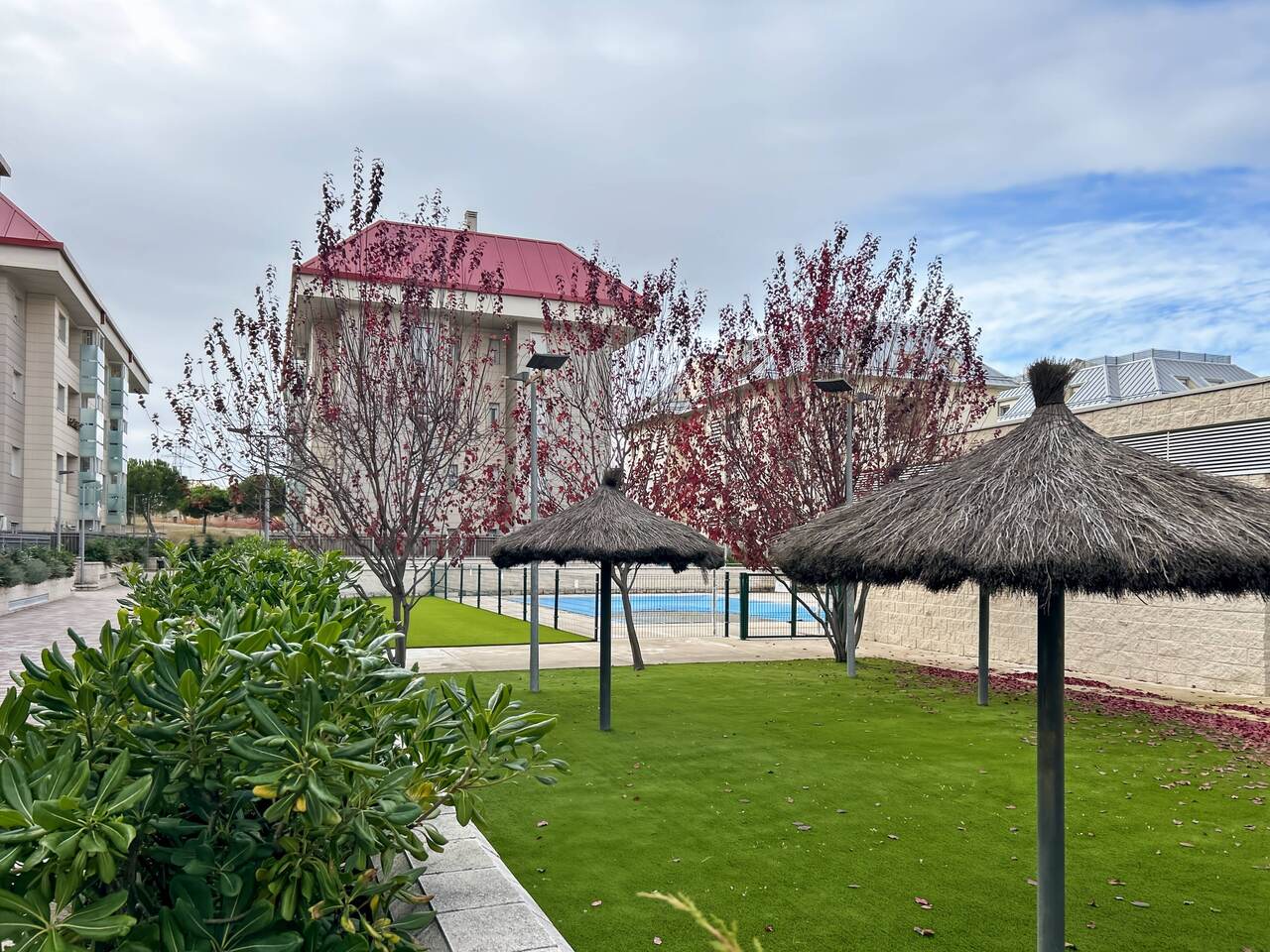 Photo 66 (1)_Easy-Resize.com