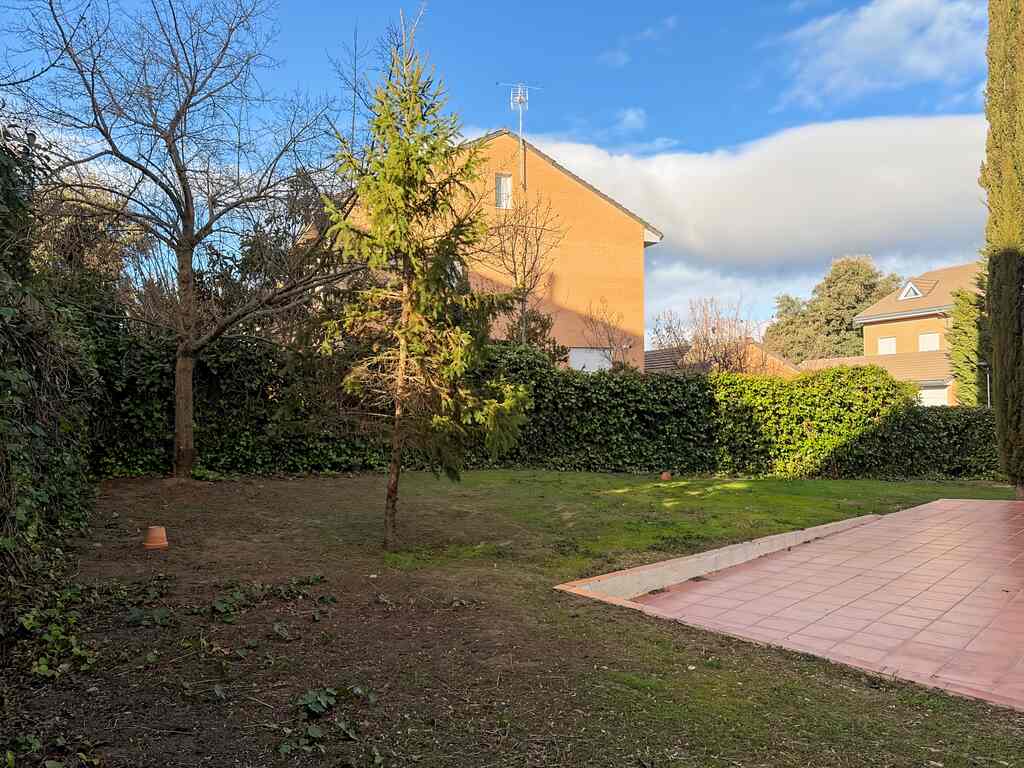 Photo_4_dcda_Easy-Resize.com